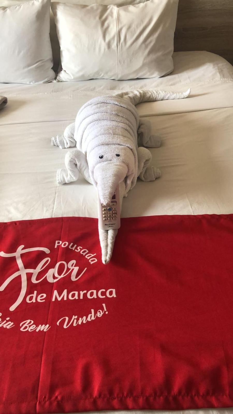 Pousada Flor De Maraca Pôrto das Galinhas 외부 사진
